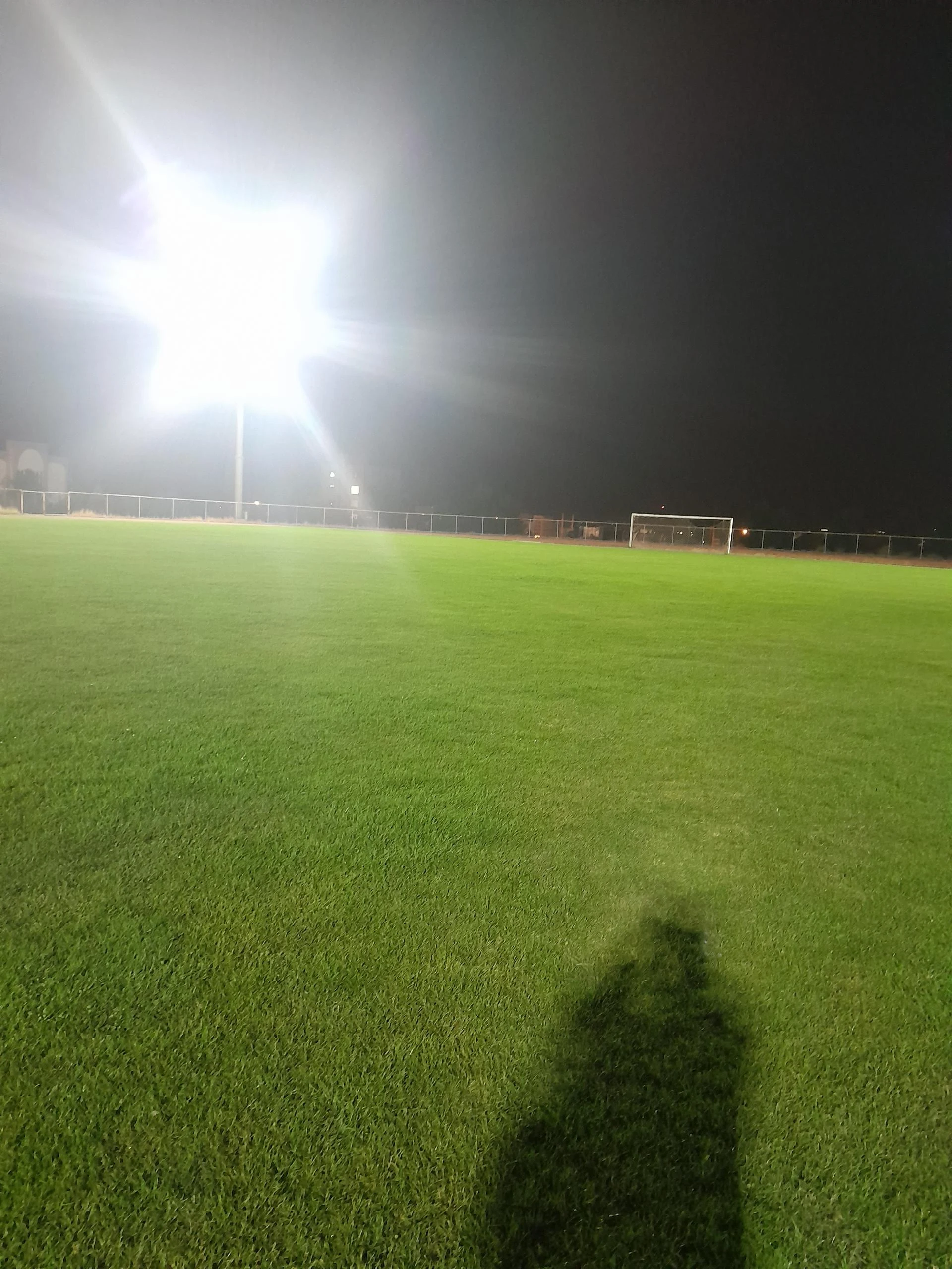 مجموعه ورزشی سجاد - تصویر 2