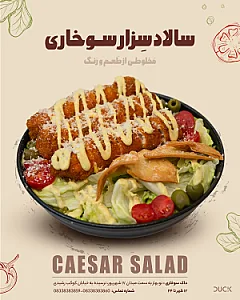 داک | فست‌ فود | سوخاری | کرمانشاه