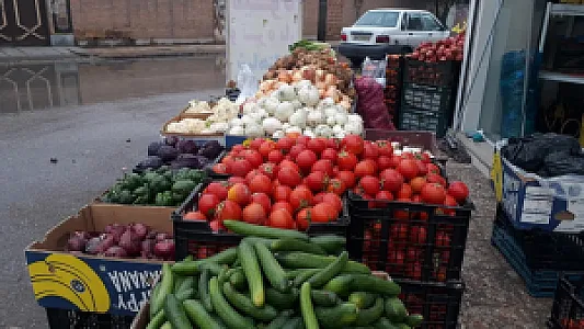 میوه تره‌بار سپنتا