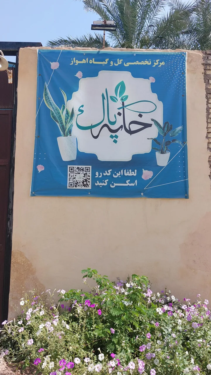 گلخانه خانه پاک - تصویر 3