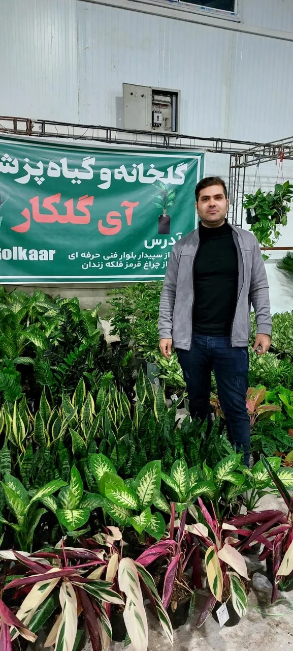 گلخانه آی گلکار - تصویر 3