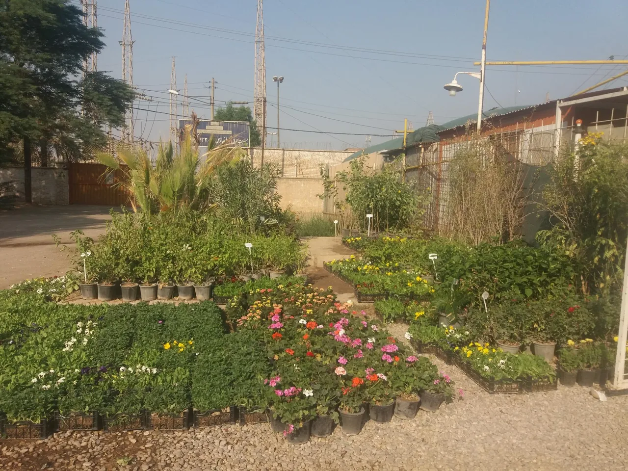 گلکده مهرسو - تصویر 2