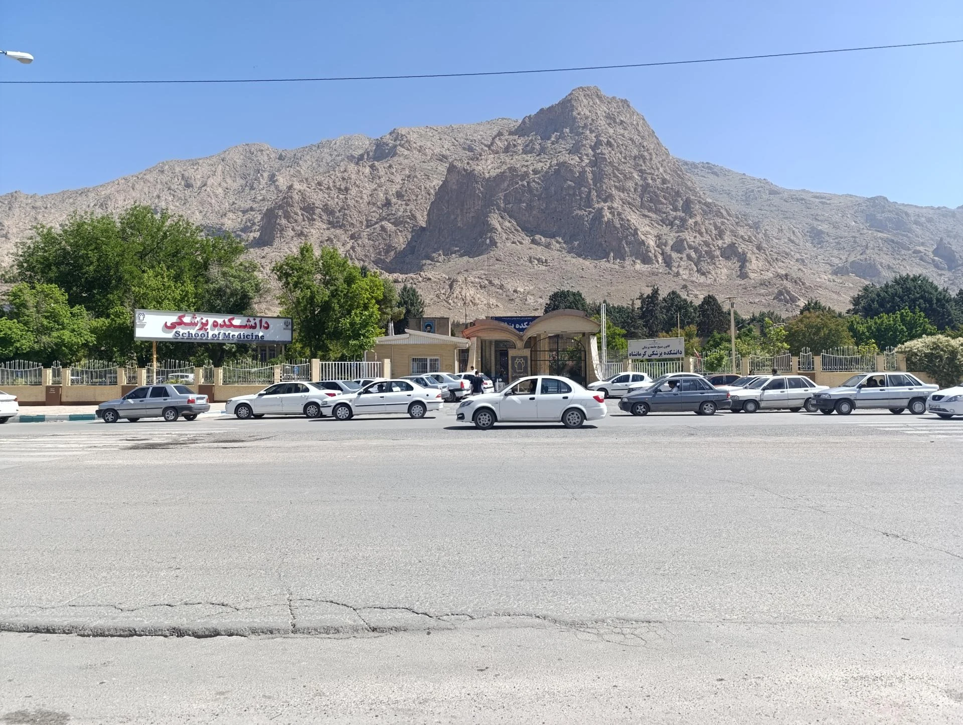 دانشکده علوم دانشگاه رازی - تصویر 3