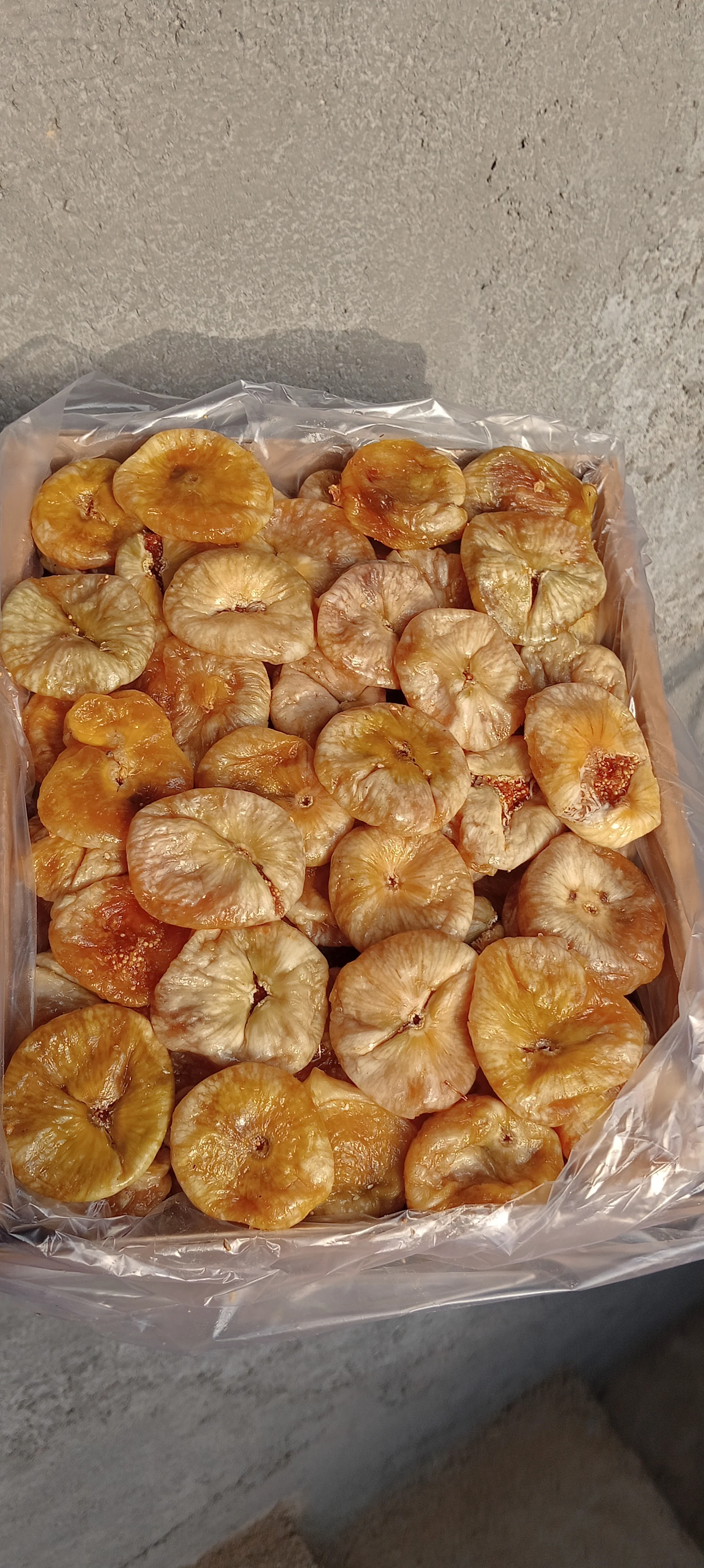 انجیر کانی