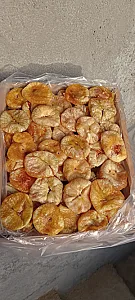 انجیر کانی