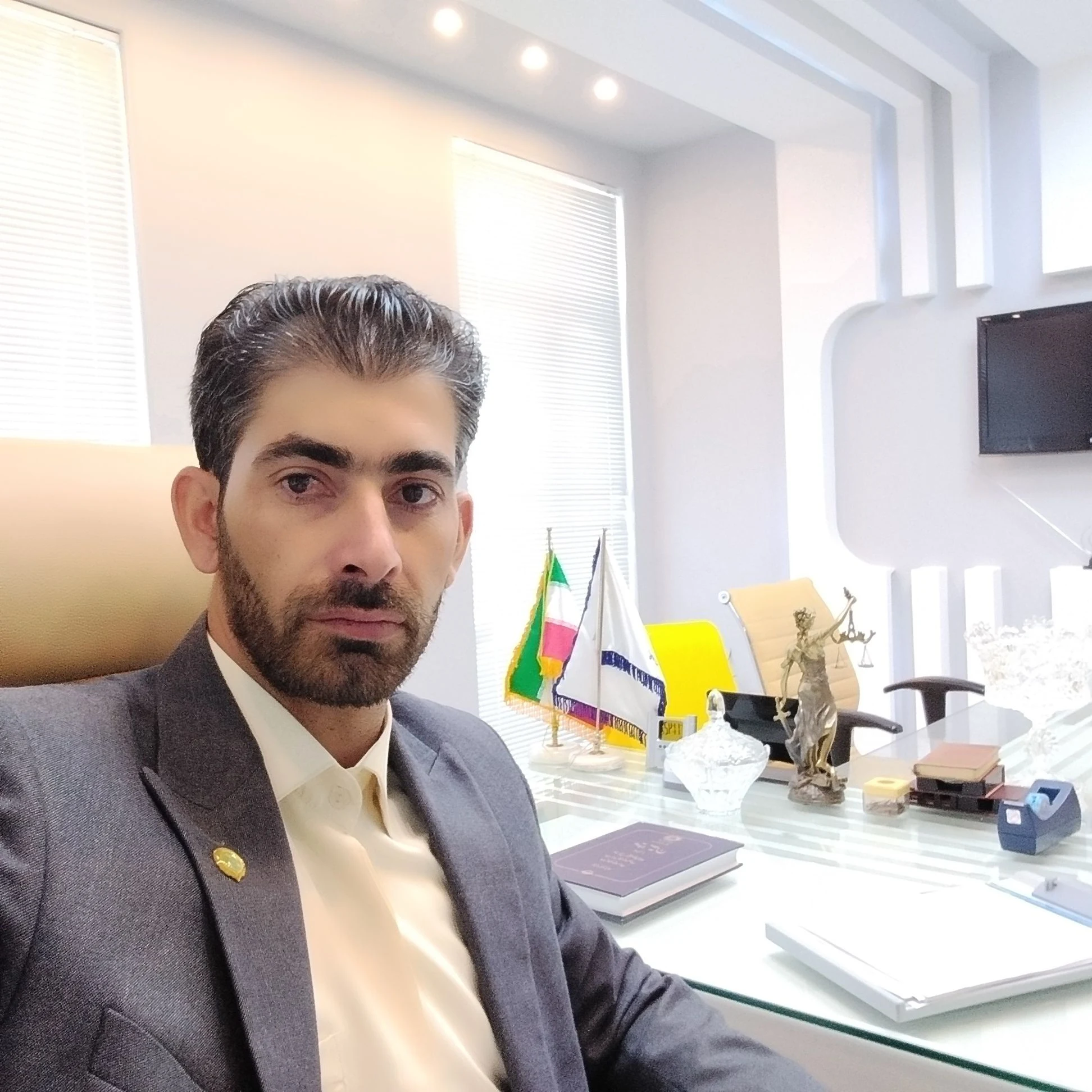 وکیل پایه یک دادگستری وحید محمدی - تصویر 2