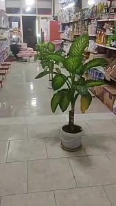 خواروبارفروشی کرمی
