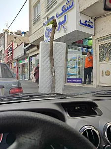 تشک مورن