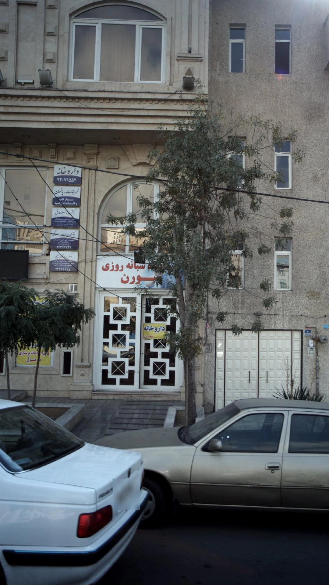 دکتر سید ه آفاق حسینی - تصویر 2