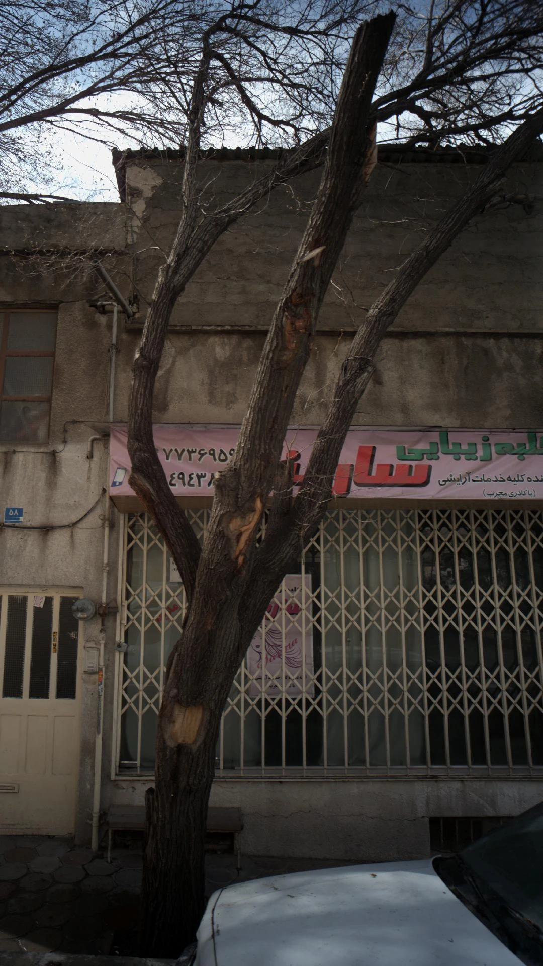 زیبا سرای گل مریم - تصویر 2