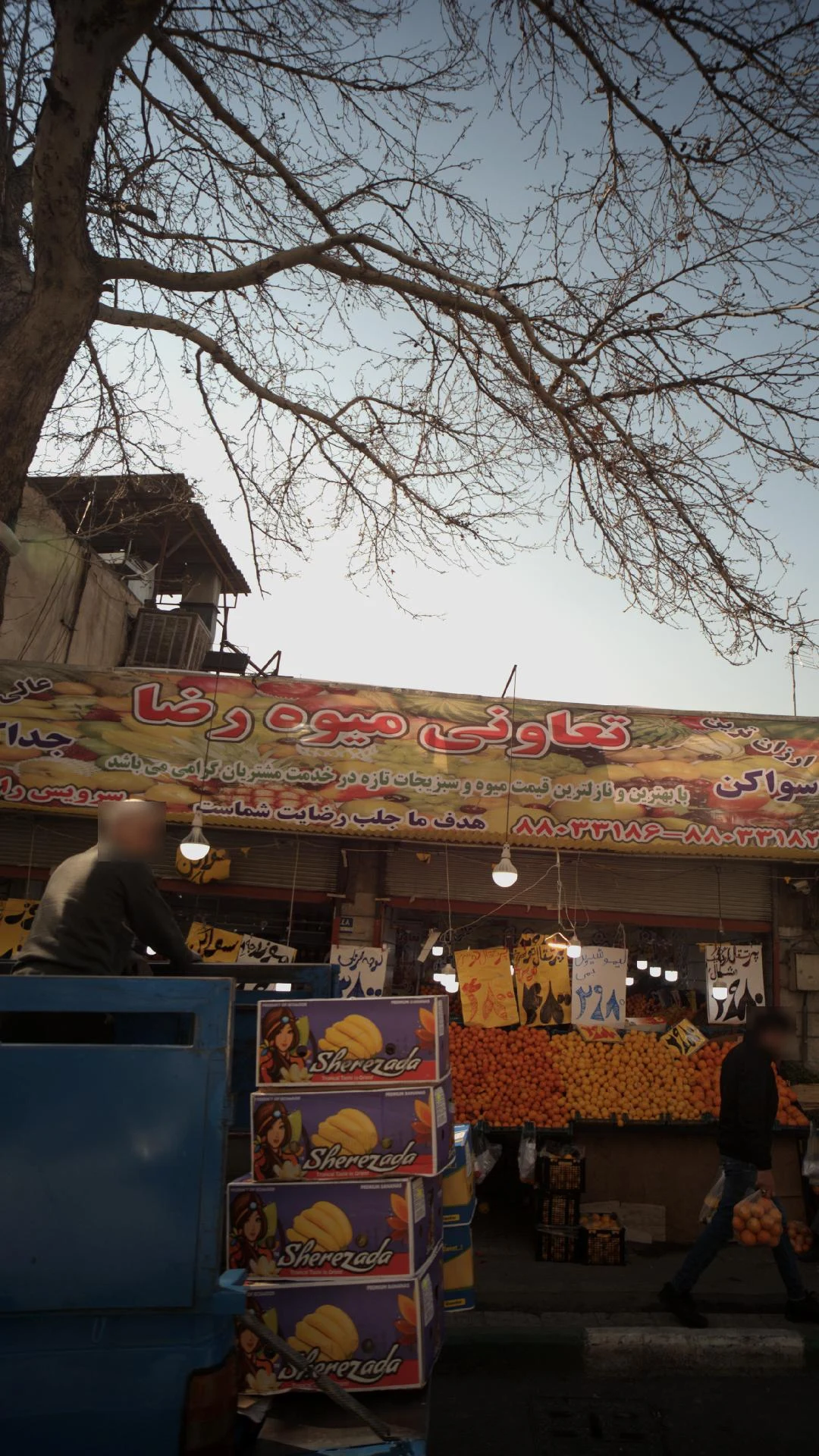 تعاونی میوه رضا - تصویر 2