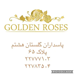 مطب دکتر علیرضا آل داود