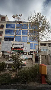 دکتر بنی عامری