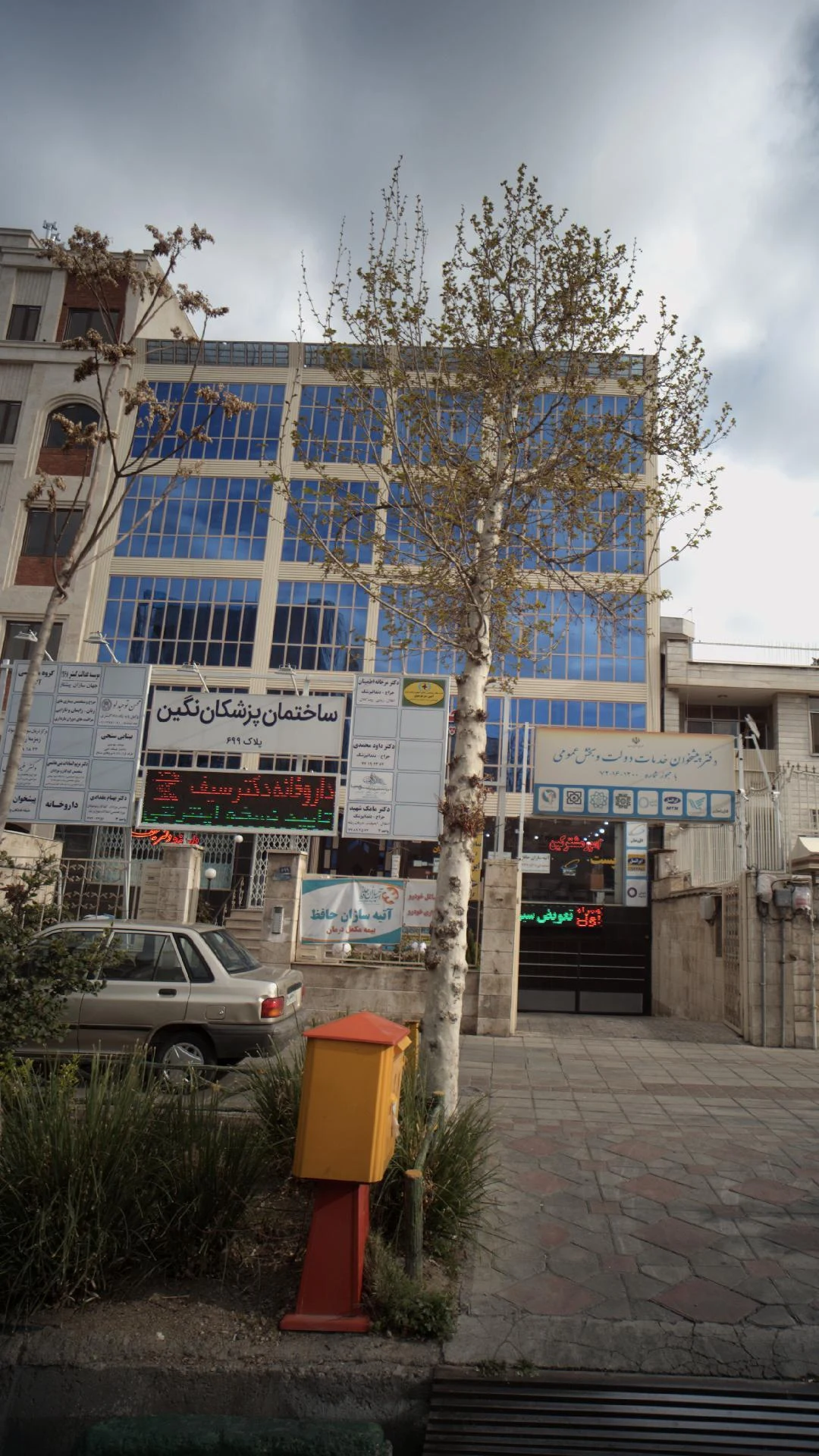 دکتر بنی عامری - تصویر 3