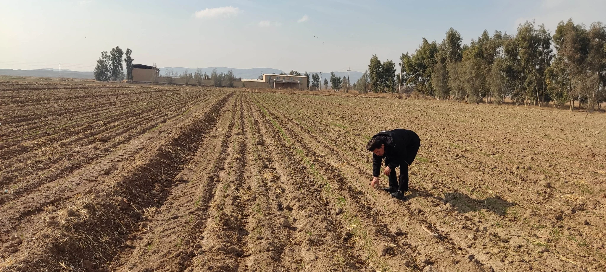 کارشناس رسمی دادگستری کریمی - تصویر 2