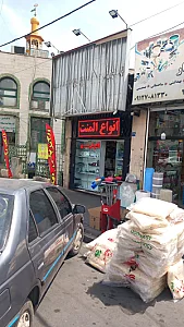 الکتریکی بیات
