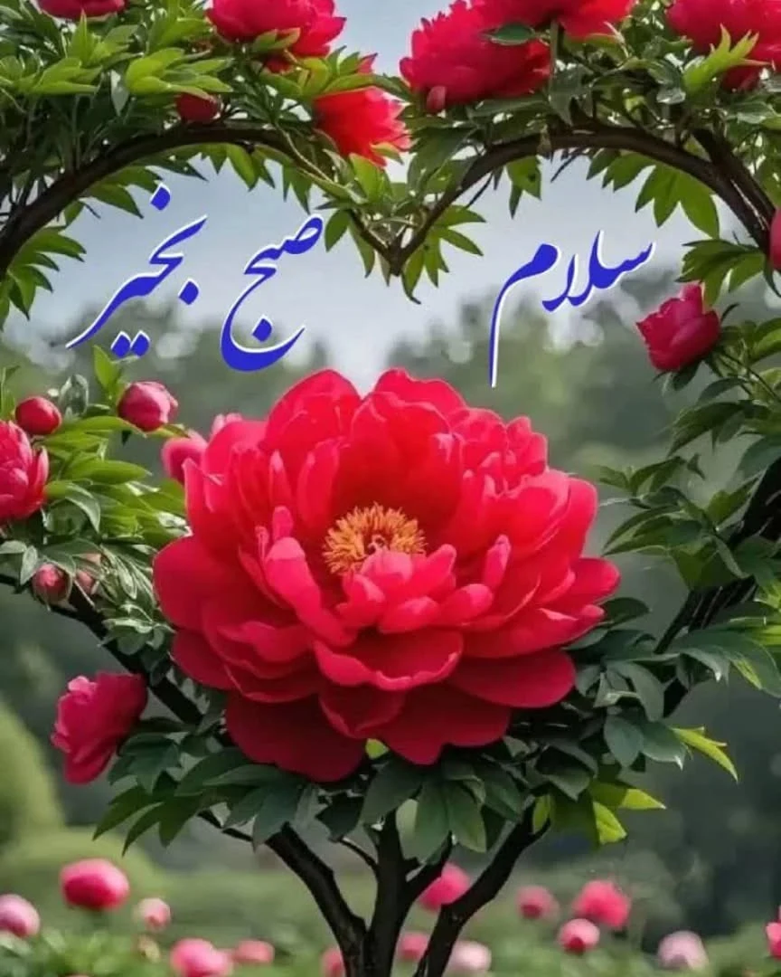 اژانس مسافرتی وهواپیمایی پریان سیر مرند
