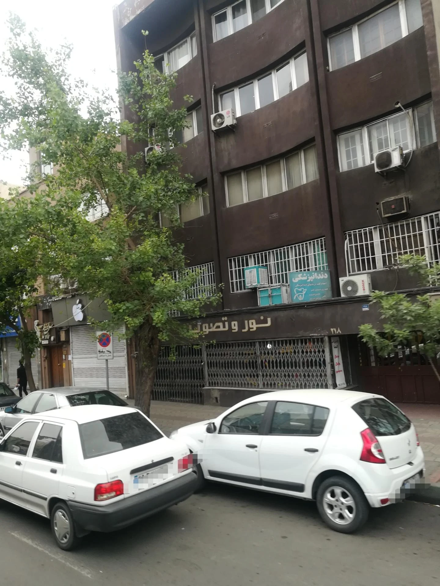 دکتر آنی آندریاسیان - تصویر 2