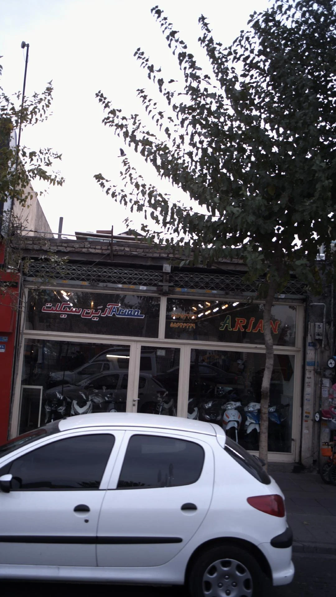 آرین سیکلت