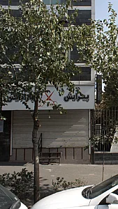 پیرایش پارادایس