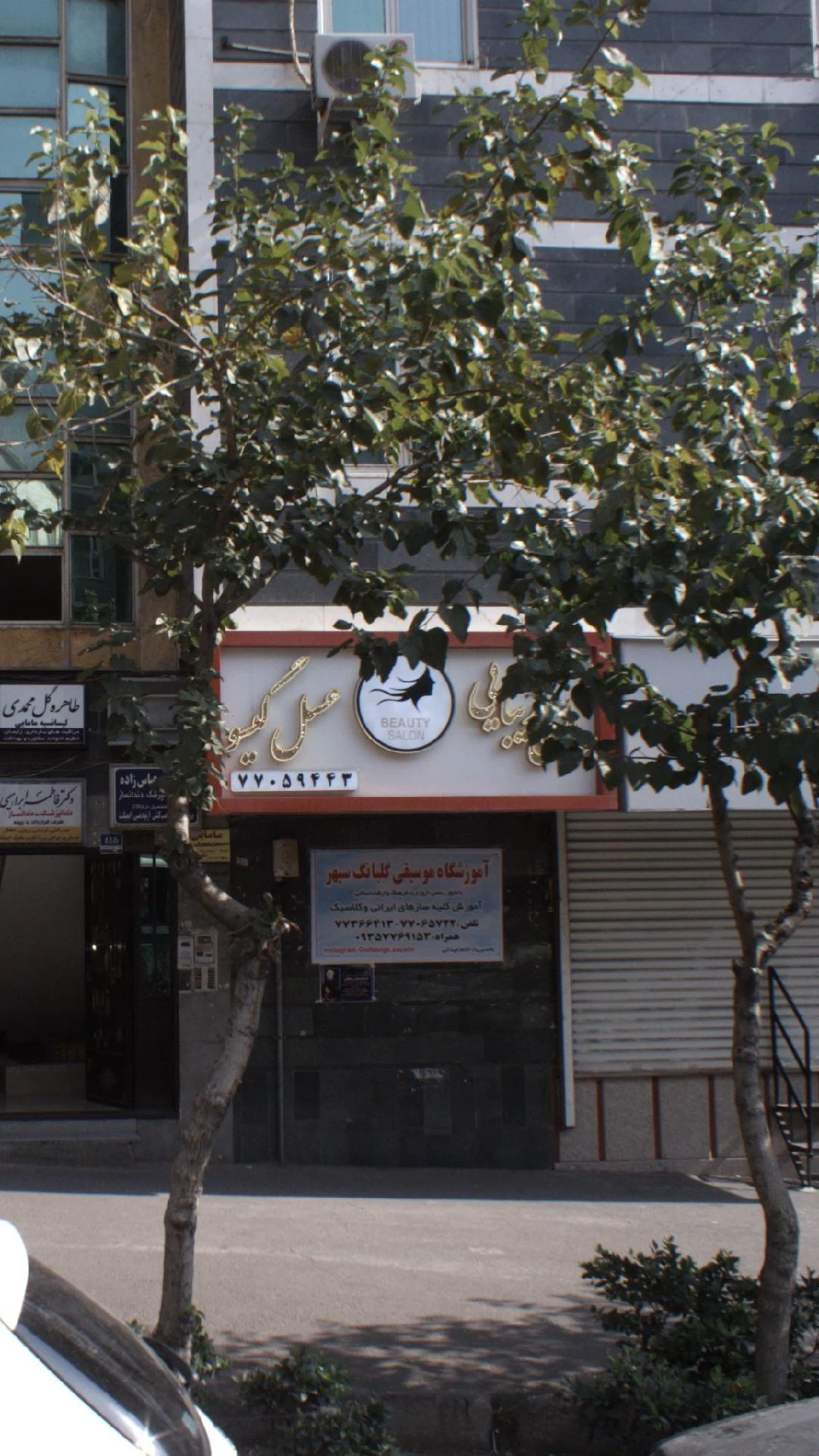 پیرایش پارادایس - تصویر 2
