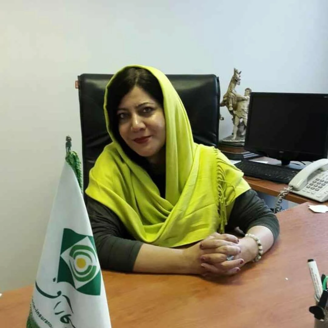 نمایندگی 2100 بیمه کارآفرین - تصویر 2