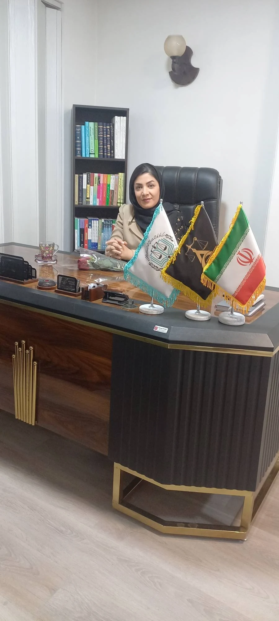 گروه وکلای ایران آرتا (طلاق)(ملکی)(چک) - تصویر 3