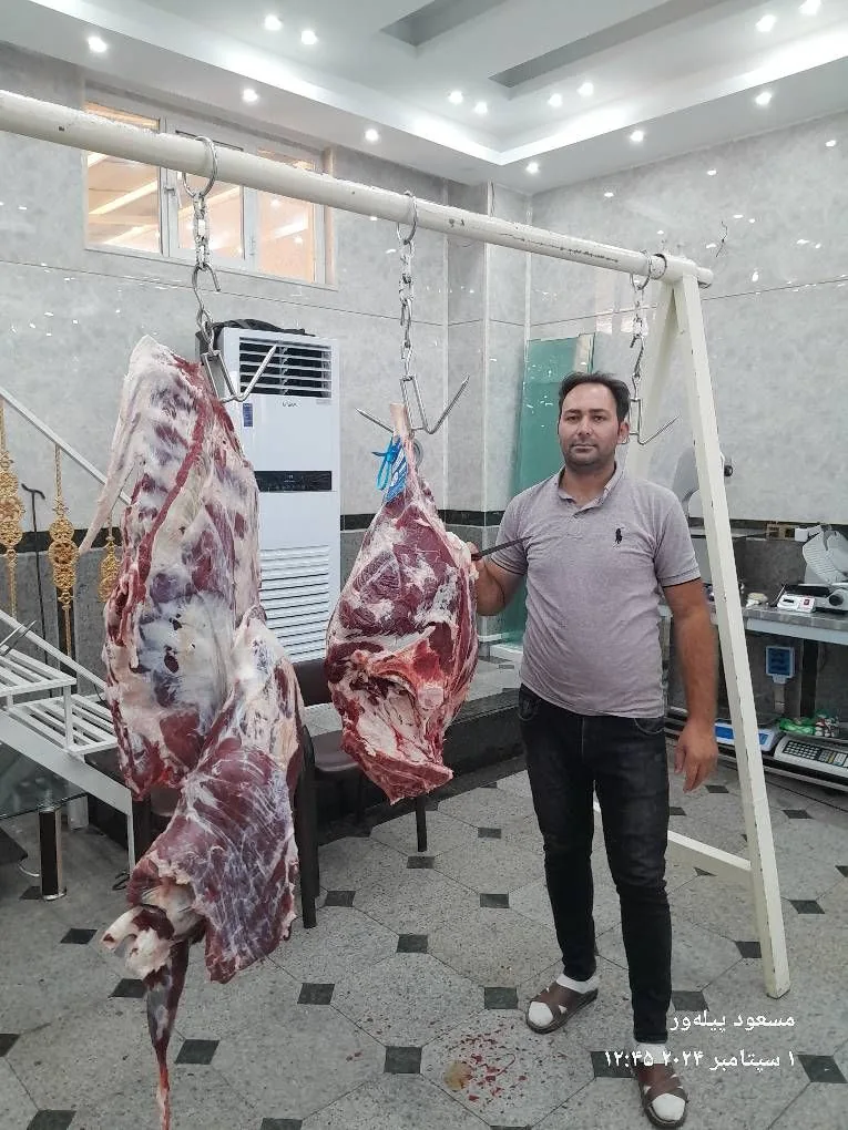 گوشت و پروتئین عرفان - تصویر 4