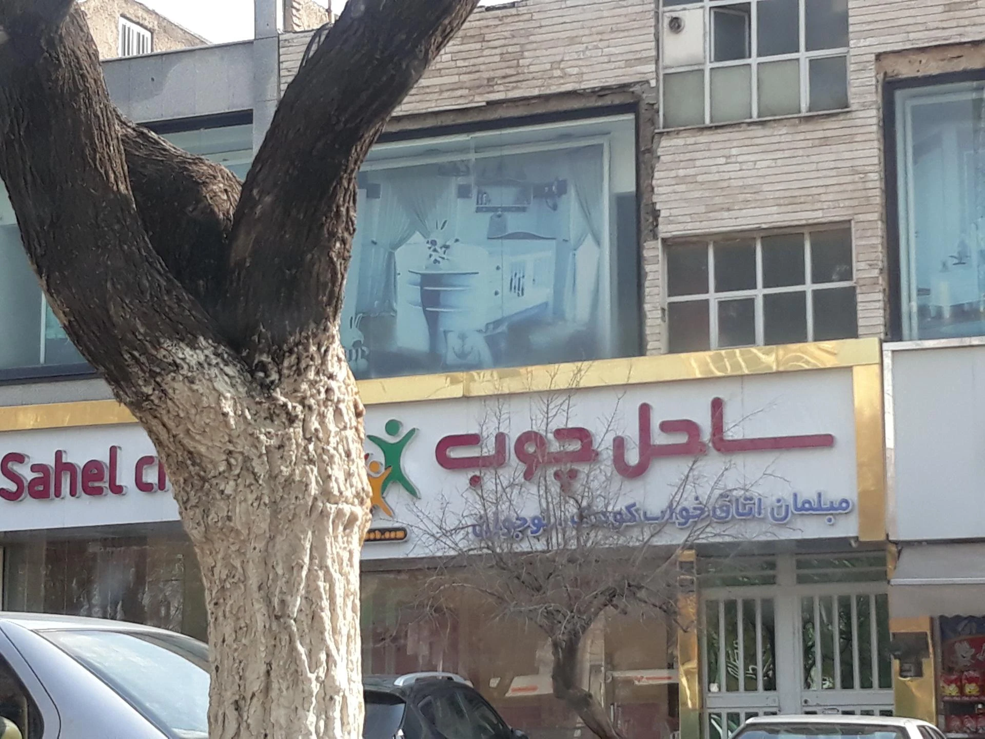 ساحل چوب - تصویر 2