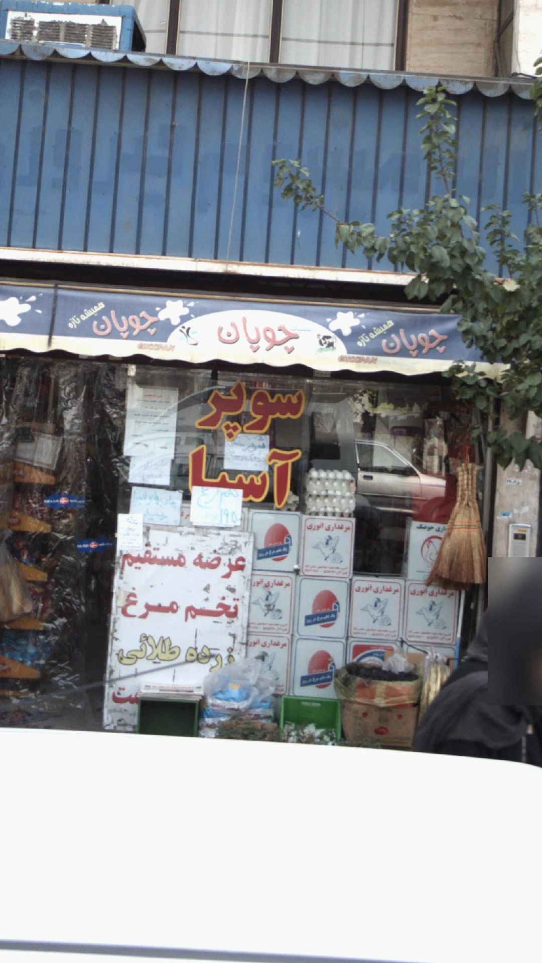 سوپر مارکت تانیش دریانی - تصویر 4