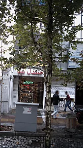 دکتر مریم ذوالفقاری فر