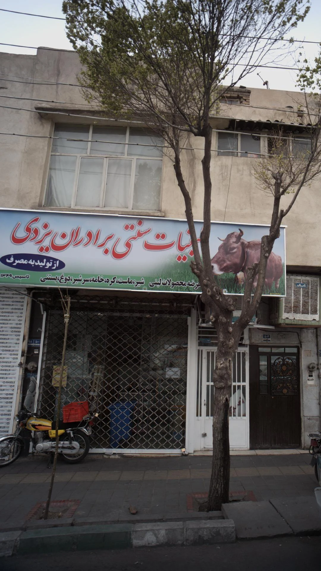 لبنیات فروشی - لبنیاتی در تهران - تصویر 3