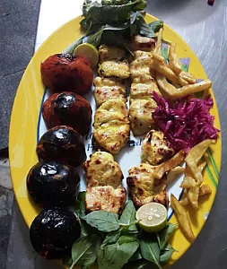 تهیه غذای زرین