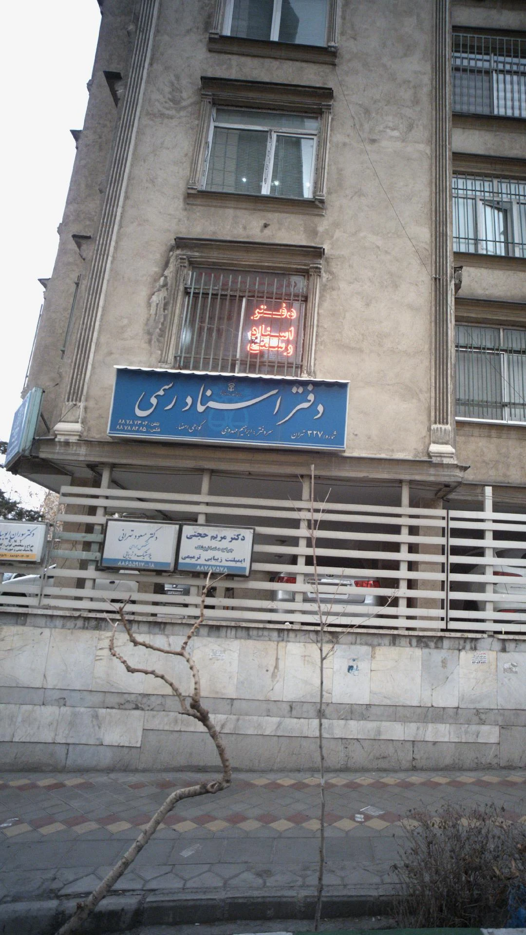 دکتر مسعود داداش زاده اصل