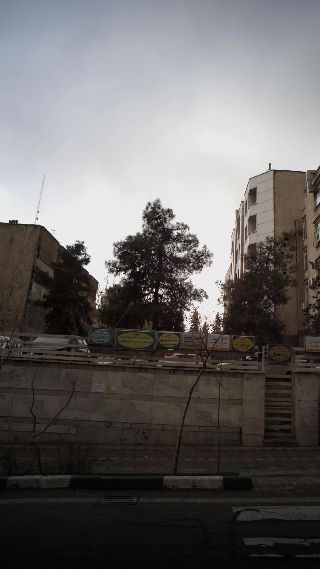 دکتر مسعود داداش زاده اصل - تصویر 4