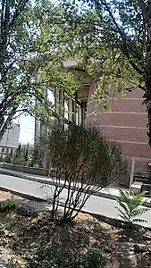استخر شهید طوقانی