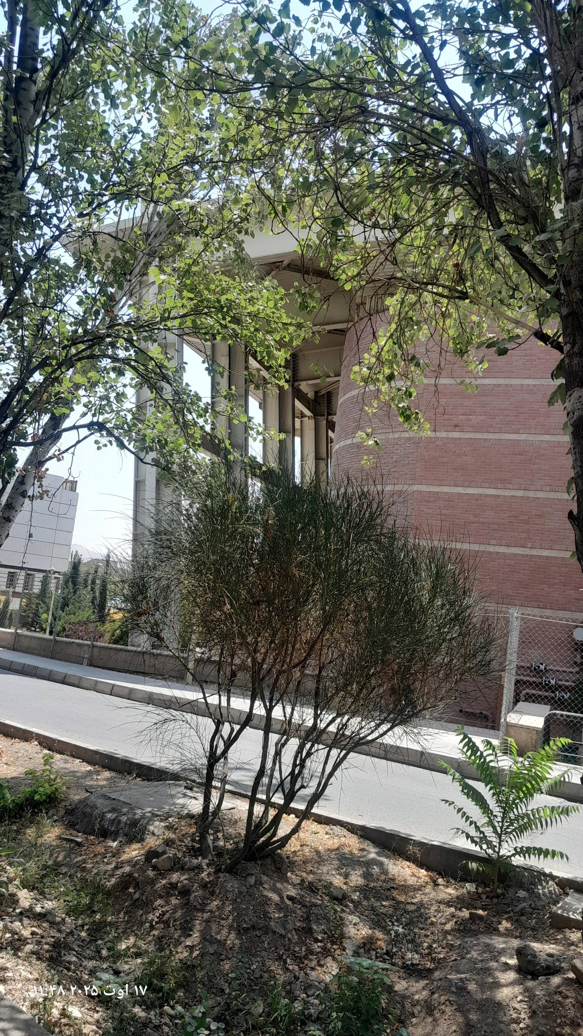 استخر شهید طوقانی