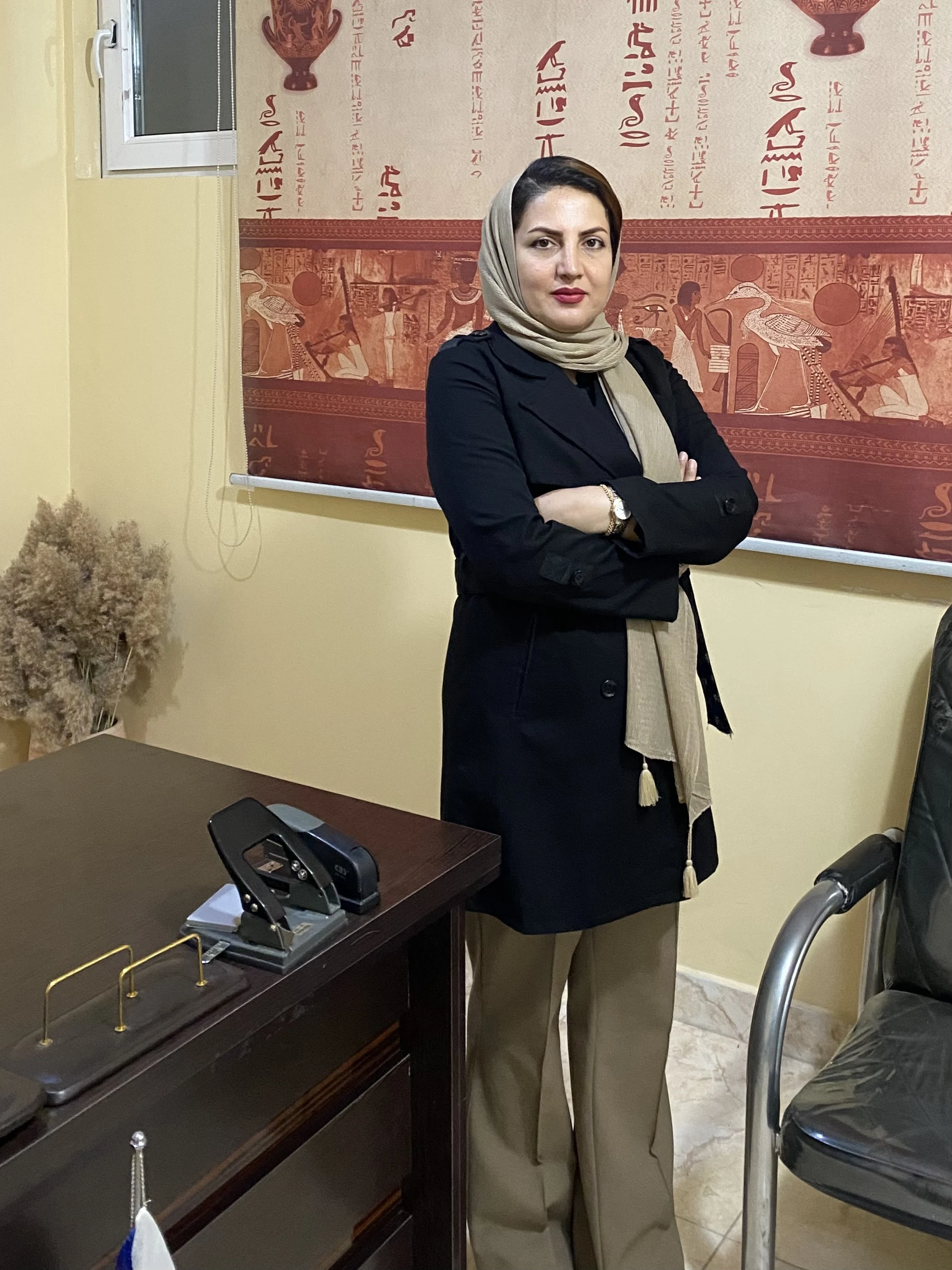 شیما قره ویسی وکیل پایه یک دادگستری - تصویر 4