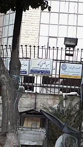 سمیه افضلی نیکو