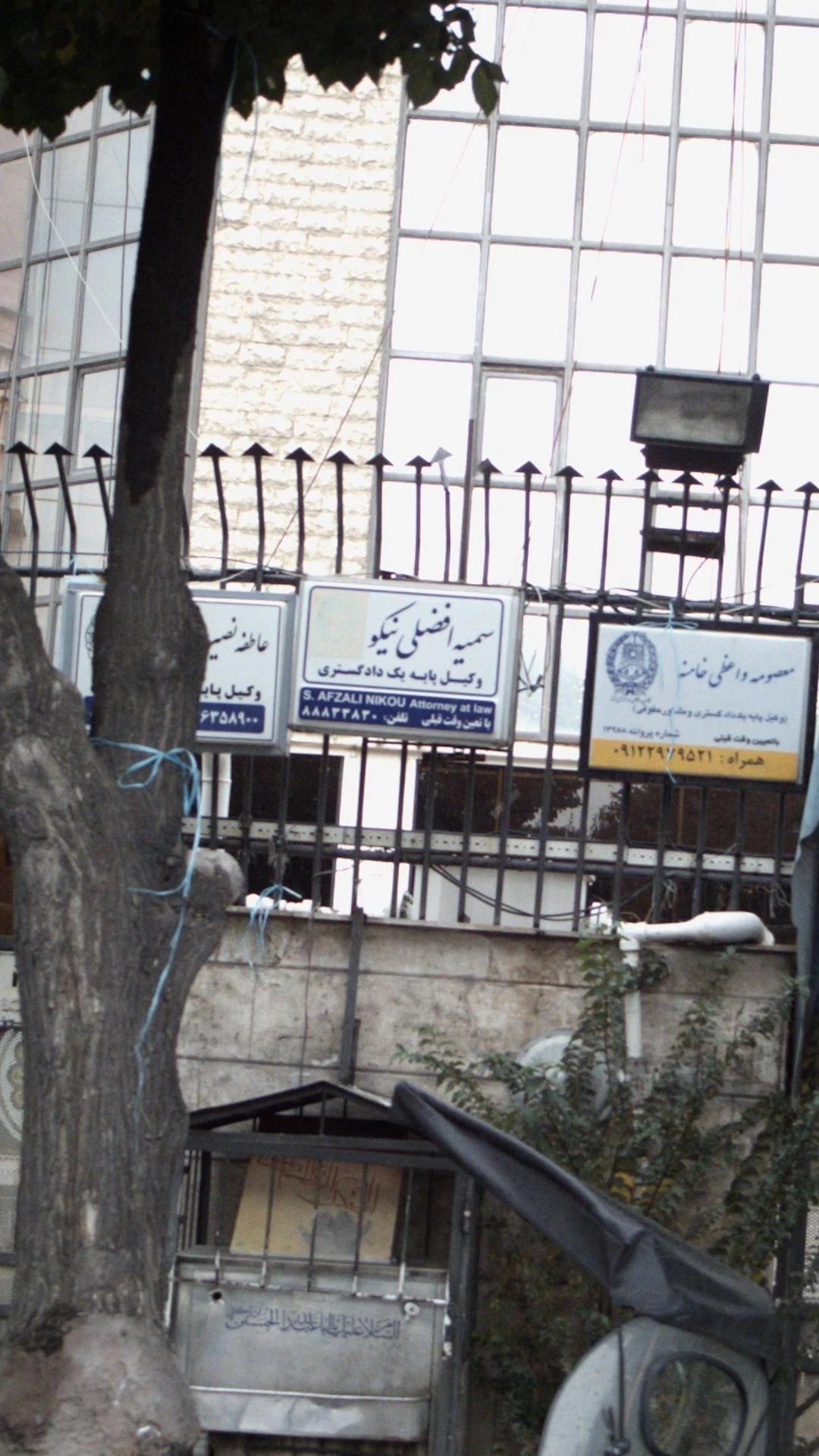 سمیه افضلی نیکو