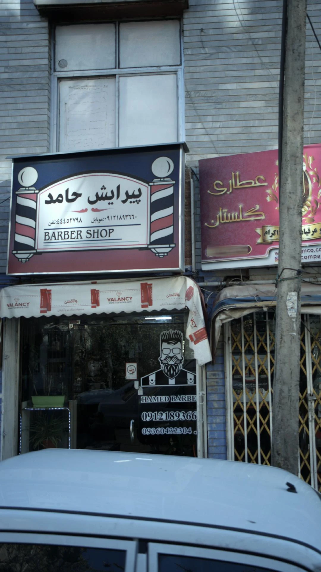 پیرایش حامد - تصویر 2