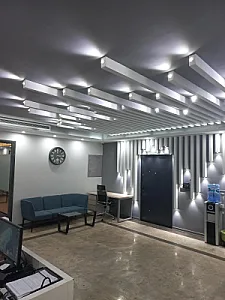 نگارین طیف آوران