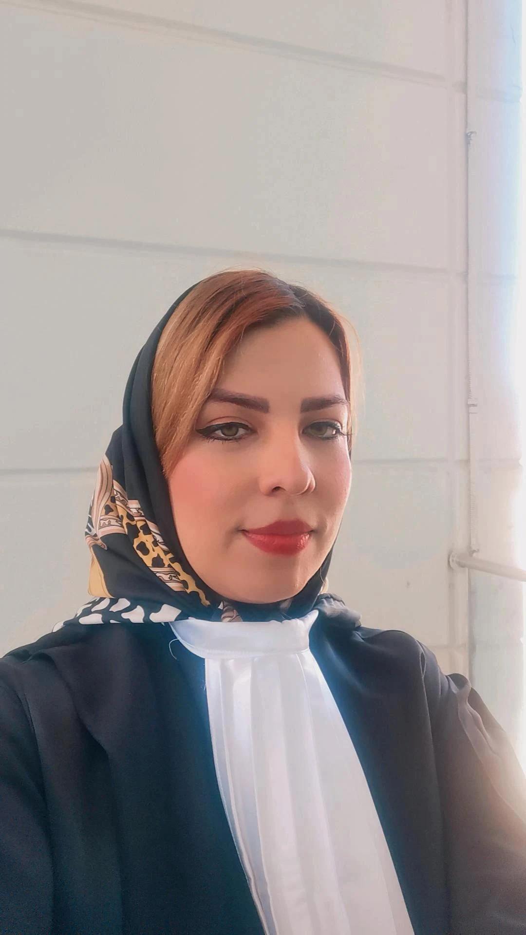 وکیل پایه یک دادگستری لیدا حسین زاده - تصویر 3