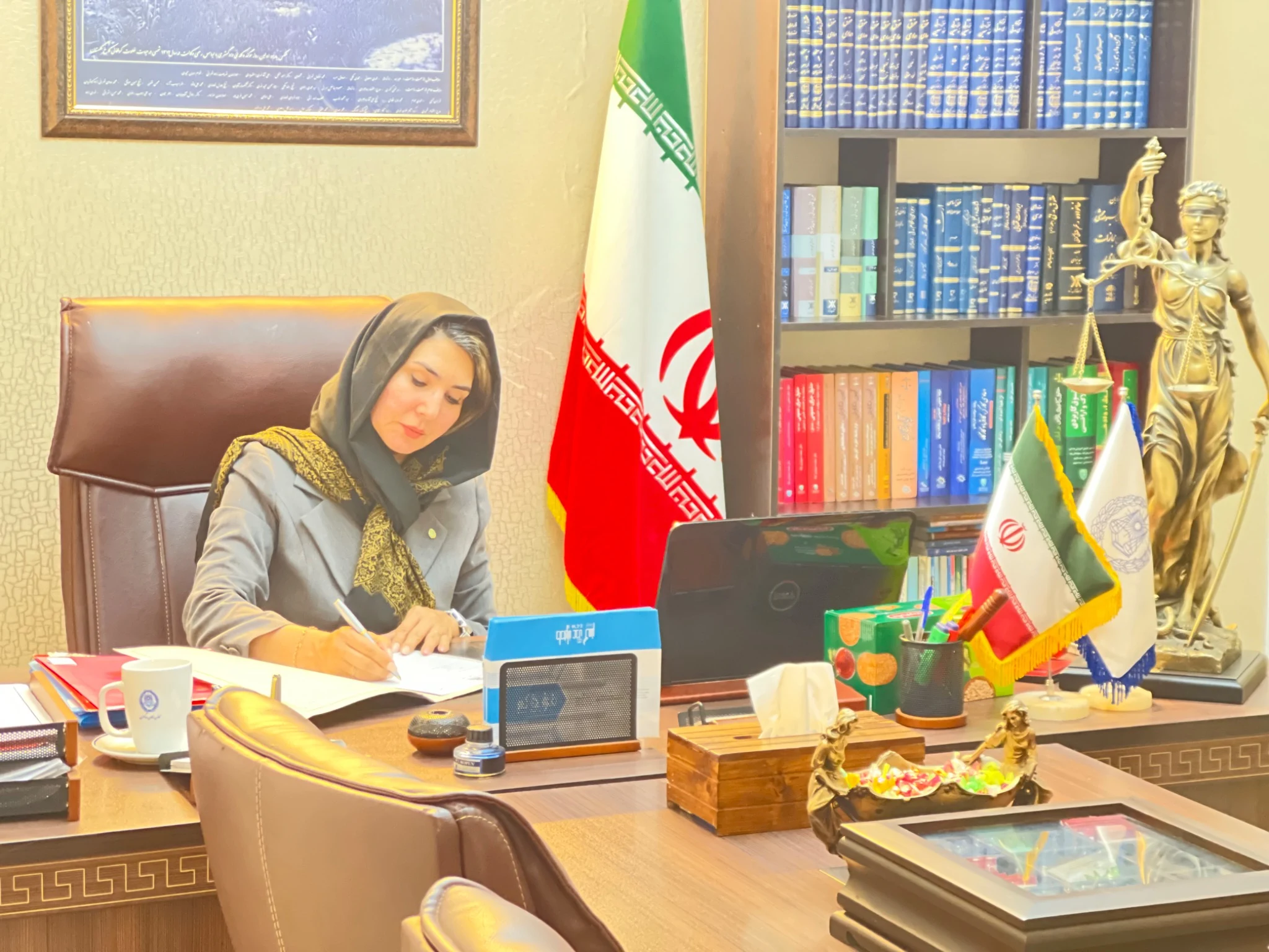 وکیل پایه یک دادگستری سمیه حسینی دخت - تصویر 2