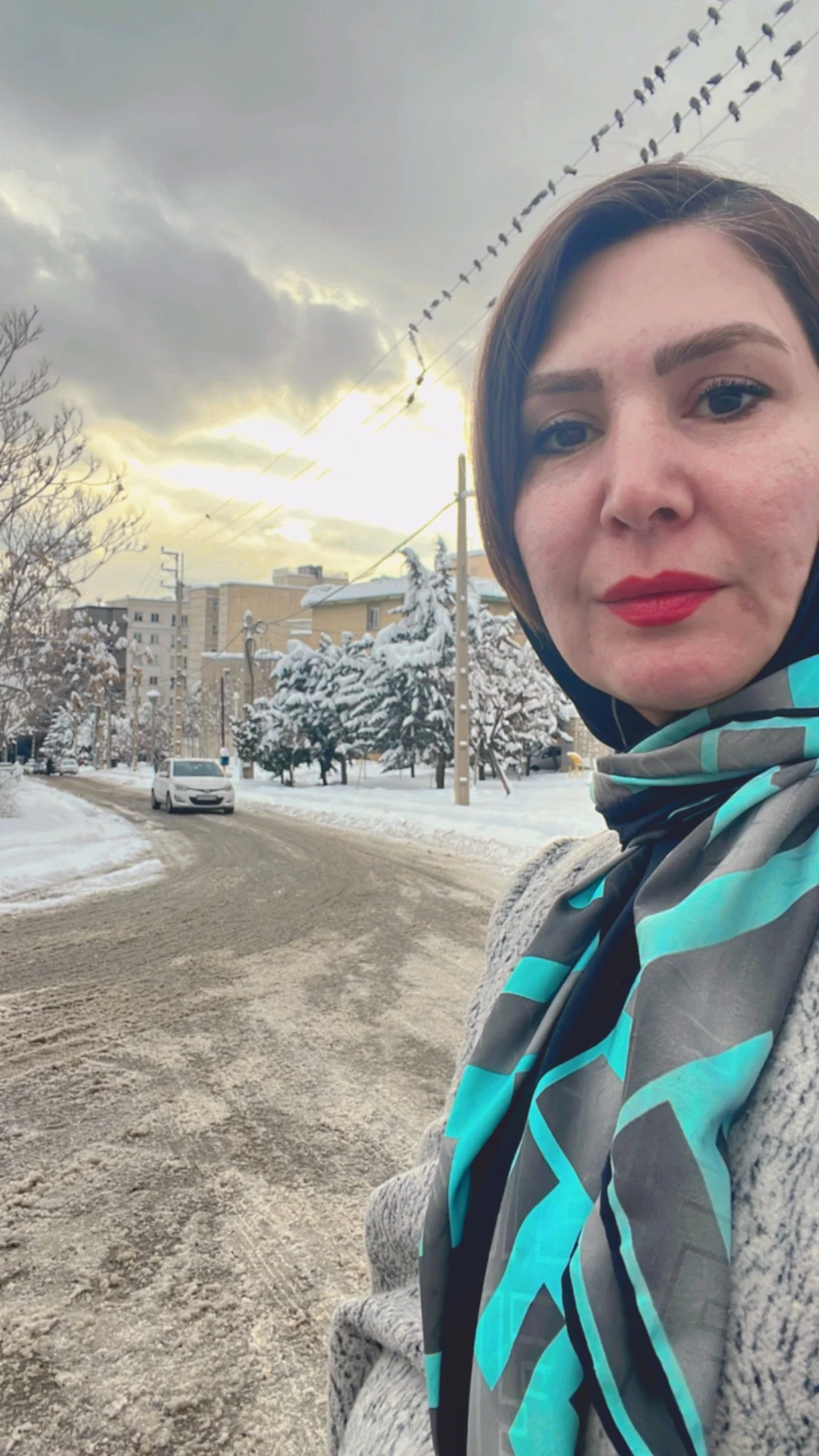 وکیل پایه یک دادگستری سمیه حسینی دخت - تصویر 4