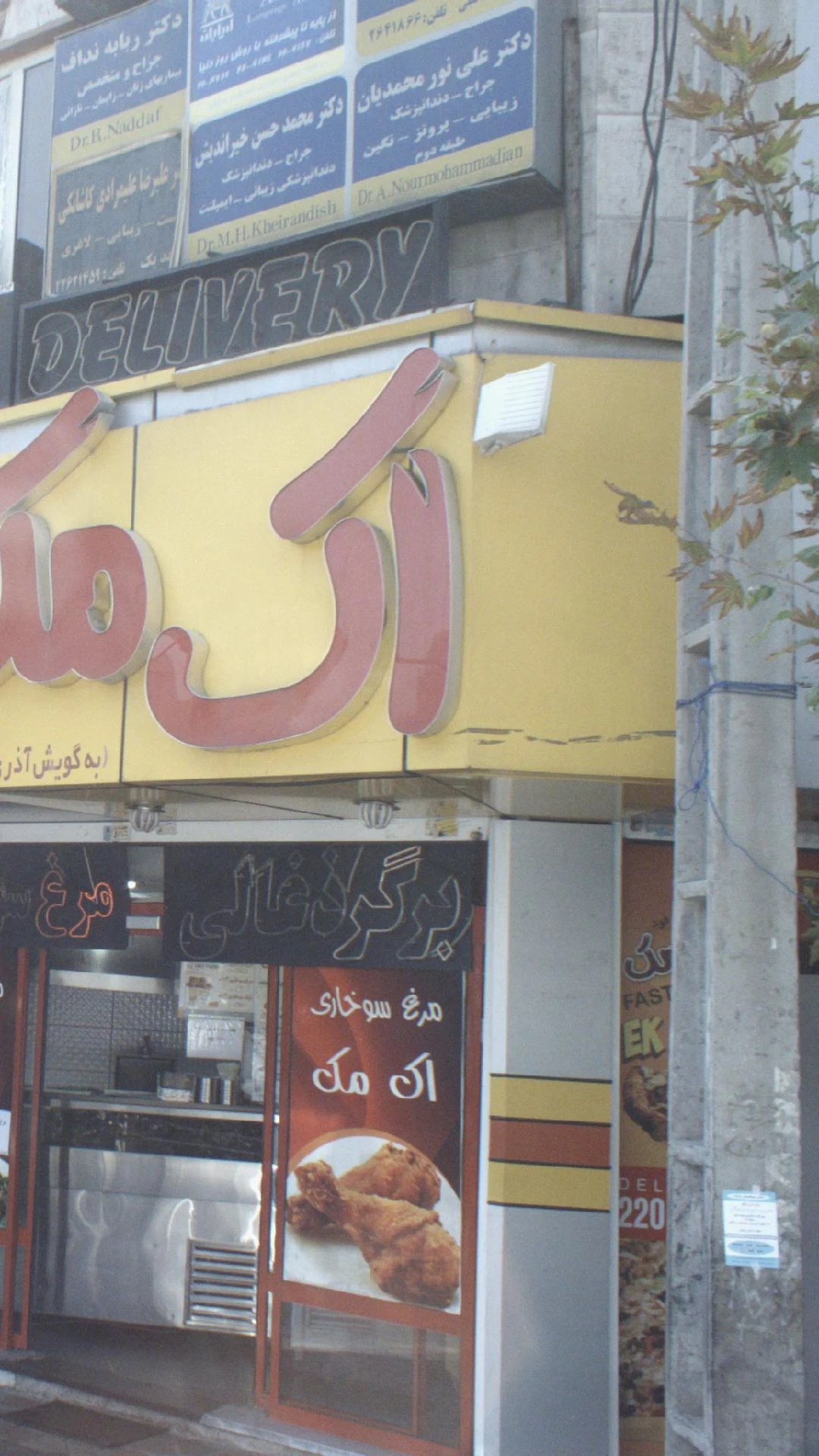 دکتر ربابه نداف - تصویر 4