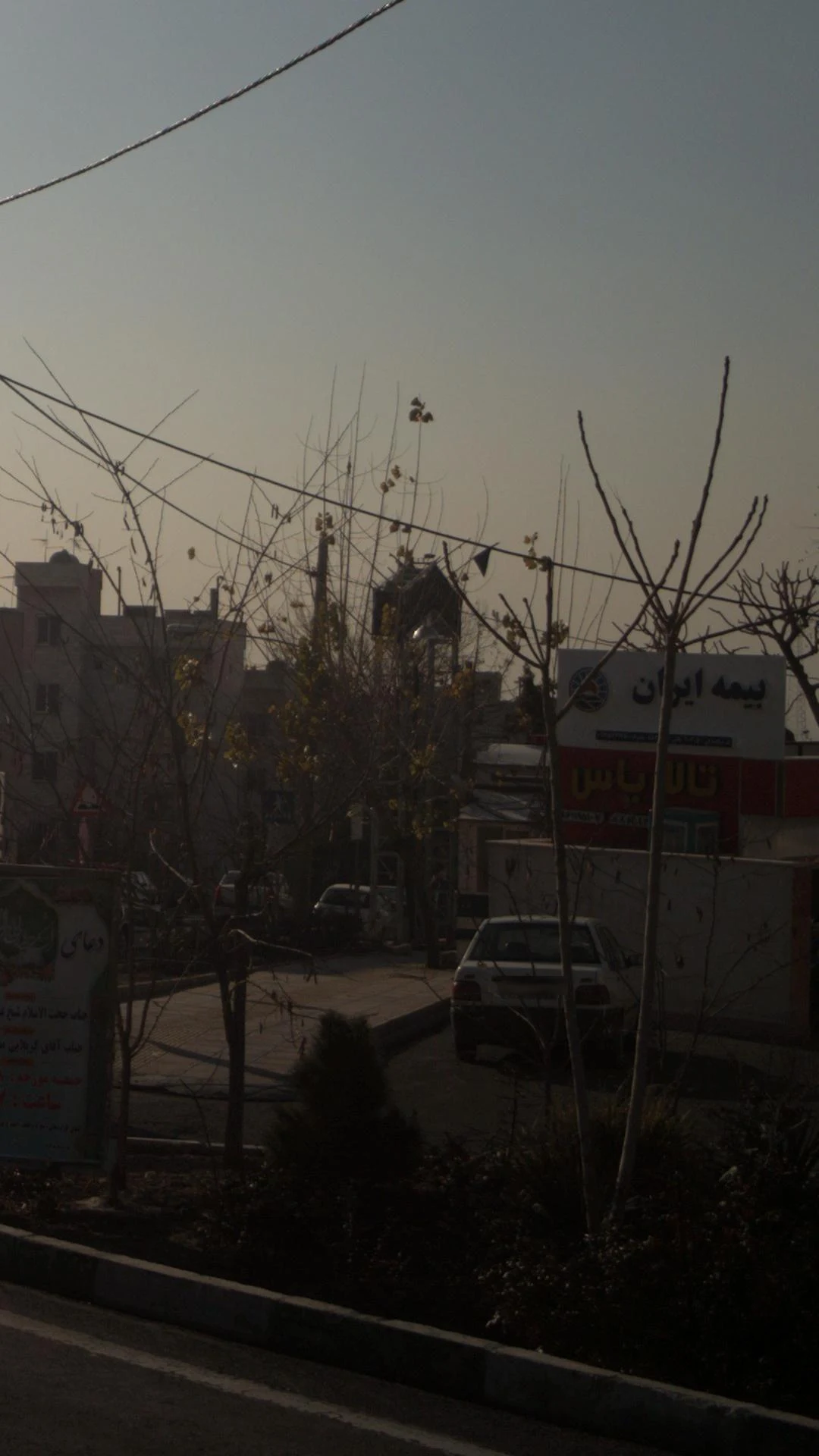 شرکت بیمه ایران - تصویر 2