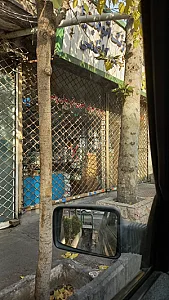 ابزار مجتبی