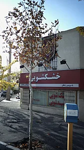 خشکشویی شفیدشویی