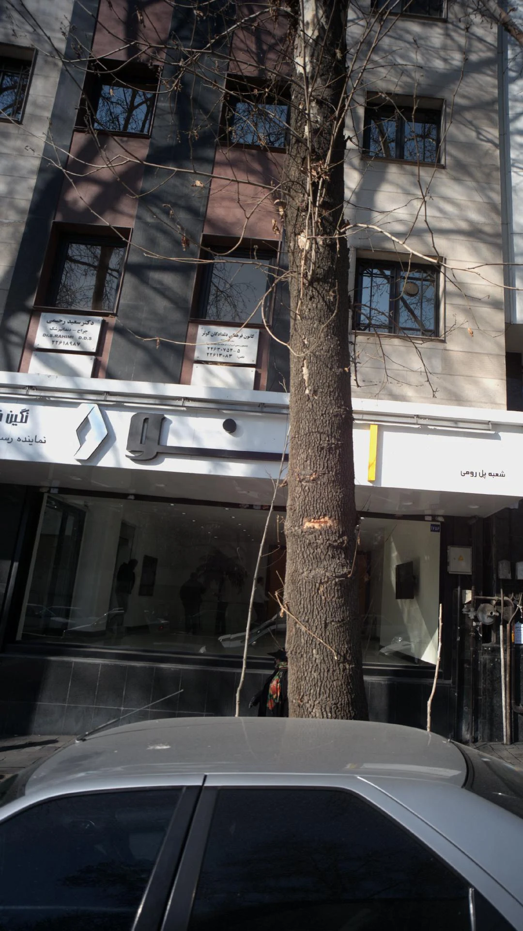 دکتر سعید رحیمی